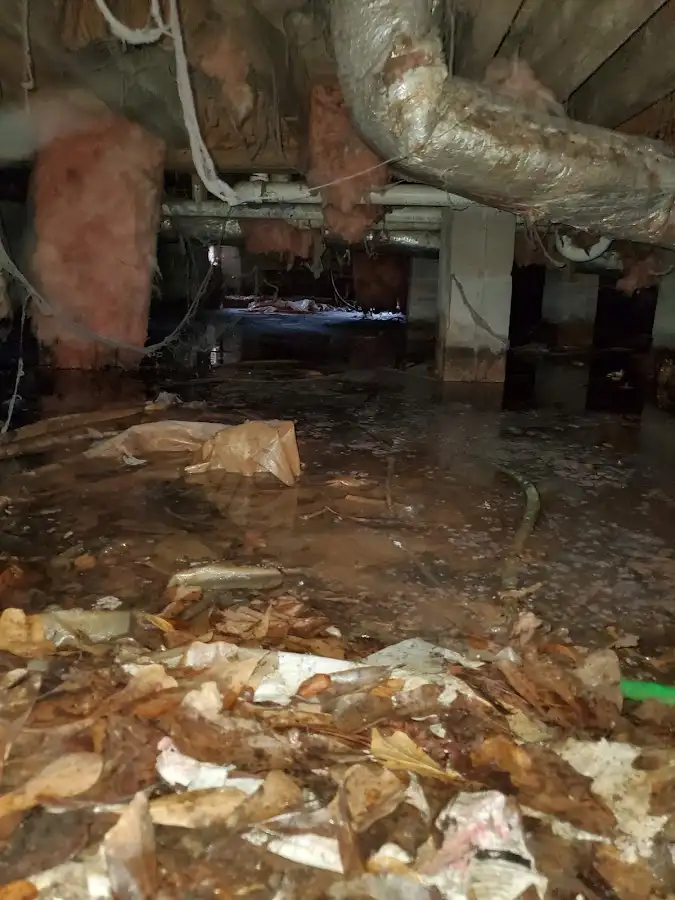Crawl space flood assessment for Leak Detection & Repair in Pooler
